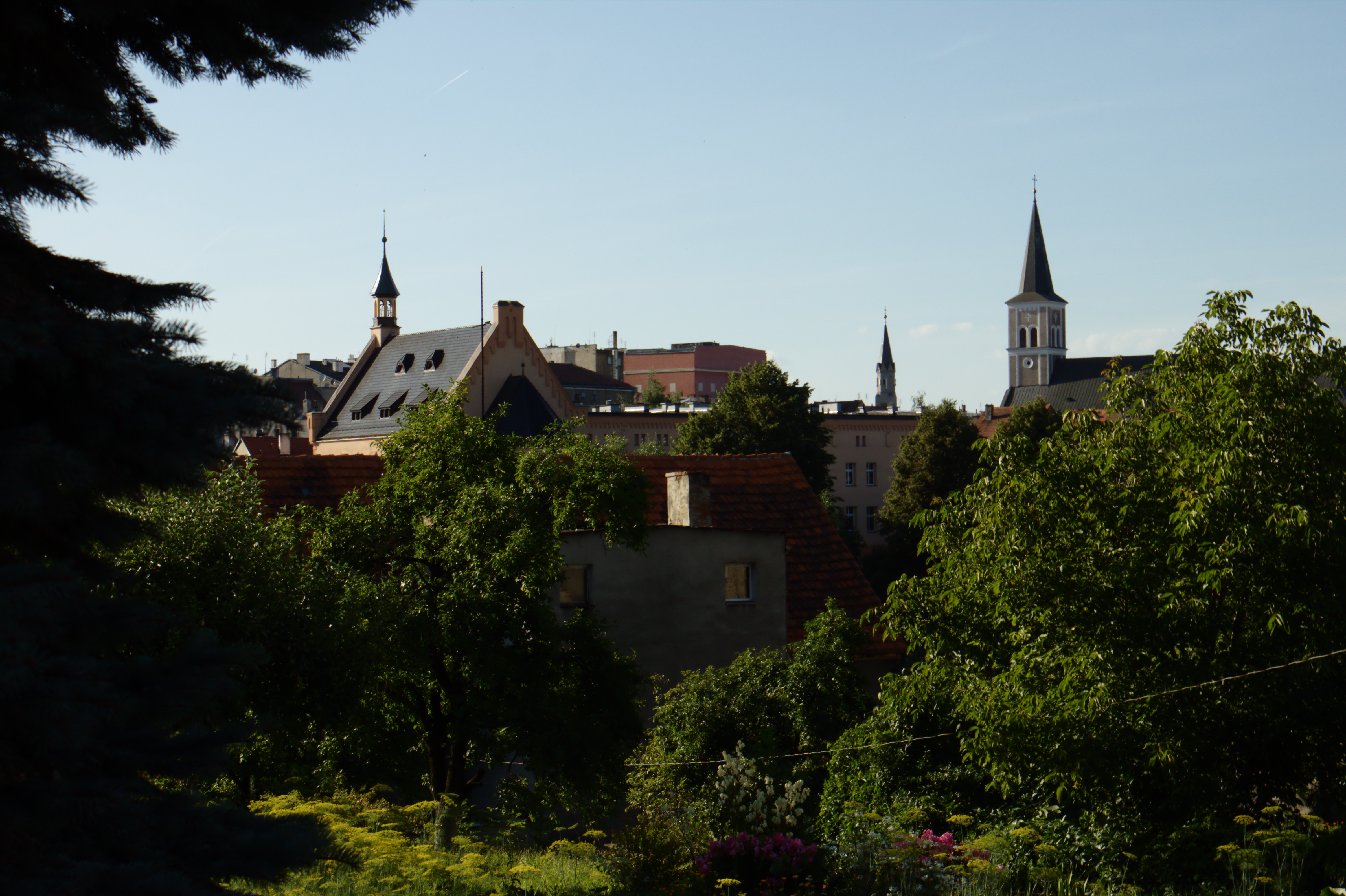 Prostytutki na Zabkowice Slaskie (PL)